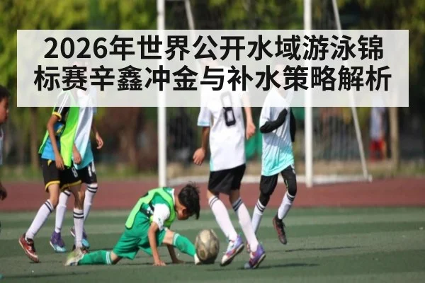 2026年世界公开水域游泳锦标赛辛鑫冲金与补水策略解析