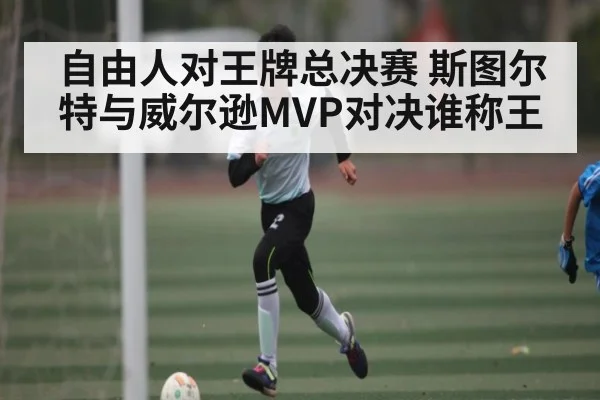 自由人对王牌总决赛 斯图尔特与威尔逊MVP对决谁称王