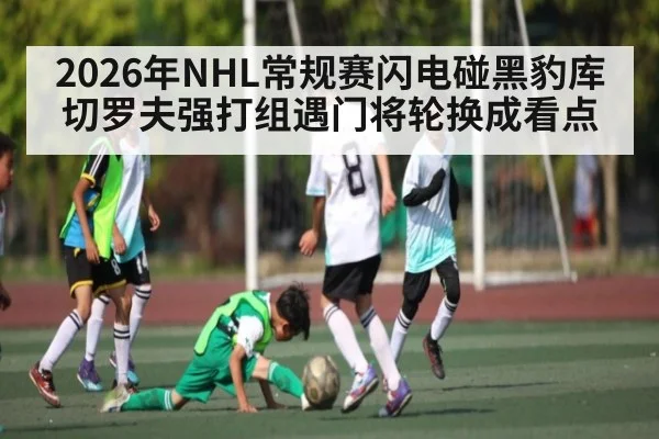 2026年NHL常规赛闪电碰黑豹库切罗夫强打组遇门将轮换成看点